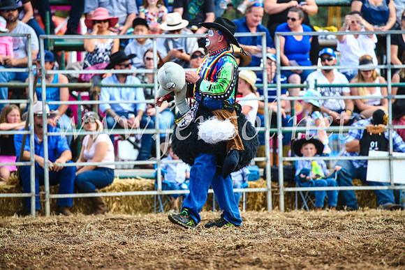 QueanbeyanRodeo2017_2532
