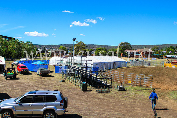 QeanbeyanRodeo2017_5084