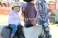 NimmitabelCampdraft2016_0044