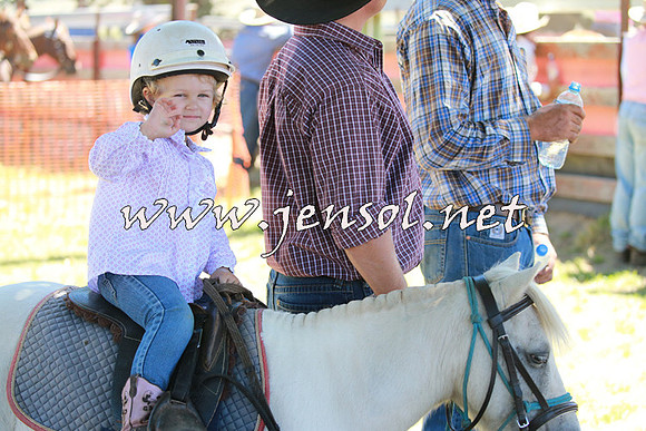NimmitabelCampdraft2016_0044