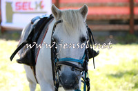 NimmitabelCampdraft2016_0121