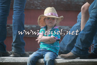 NimmitabelCampdraft2016_0351