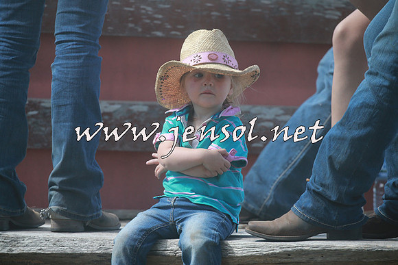 NimmitabelCampdraft2016_0351