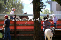 NimmitabelCampdraft2016_0163