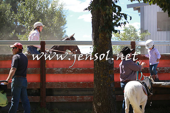NimmitabelCampdraft2016_0163