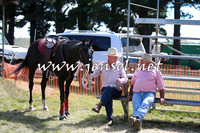 NimmitabelCampdraft2016_0279