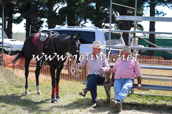 NimmitabelCampdraft2016_0279