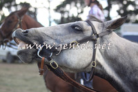NimmitabelCampHailey_0134