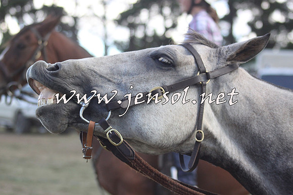 NimmitabelCampHailey_0134