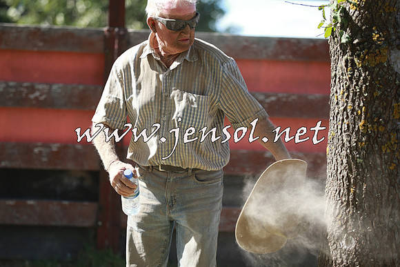 NimmitabelCampdraft2016_0387