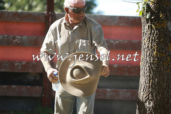 NimmitabelCampdraft2016_0386