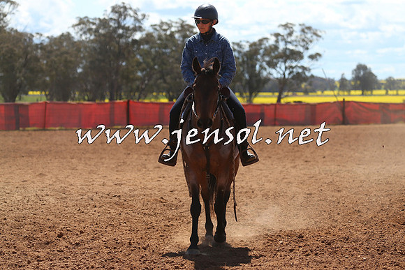 IllaboCampdraft2015_5328
