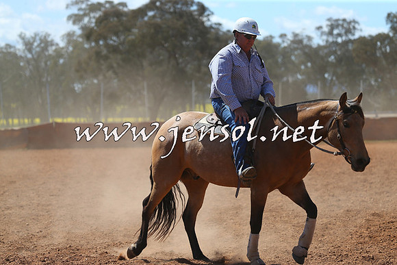IllaboCampdraft2015_5297