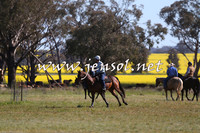 IllaboCampdraft2015_5006