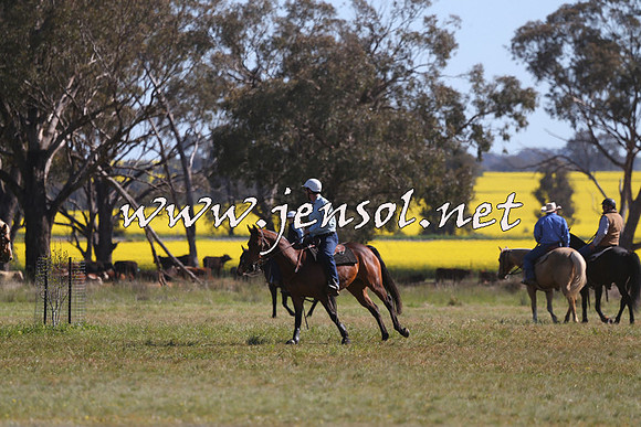 IllaboCampdraft2015_5006