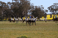 IllaboCampdraft2015_5022