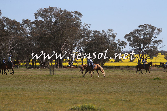 IllaboCampdraft2015_5009