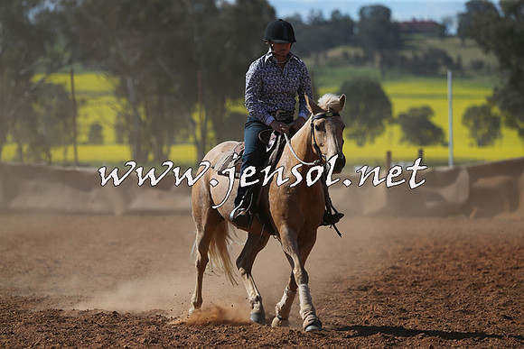 IllaboCampdraft2015_5502