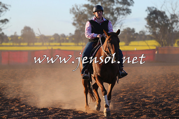 IllaboCampdraft2015_1587
