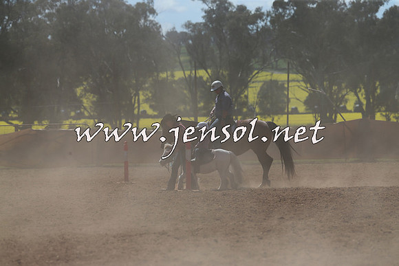 IllaboCampdraft2015_5188