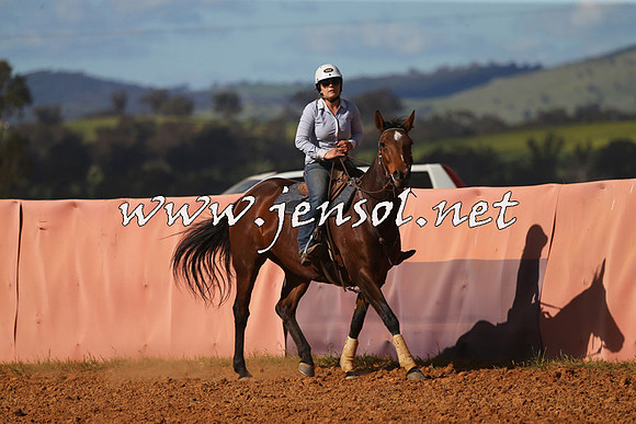 IllaboCampdraft2015_5589