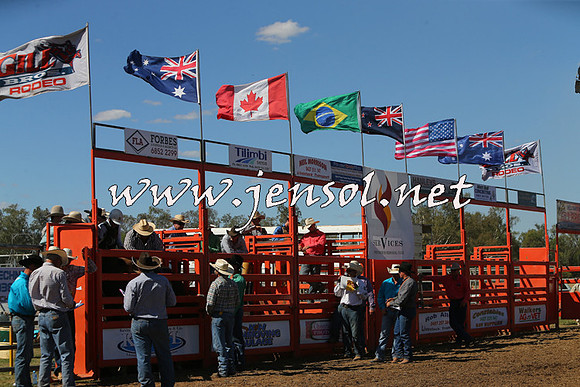 ForbesRodeo2015_0847