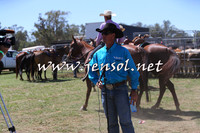 ForbesRodeo2015_0052