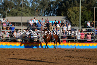 ForbesRodeo2015_1051