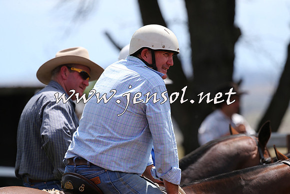 NimmitabelCampdraft2015_0138