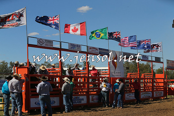 ForbesRodeo2015_0848