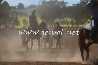 IllaboCampdraft2015_5190