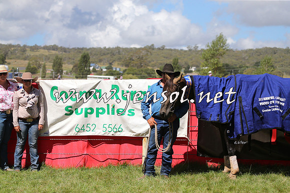 NimmitabelCampdraft2015_2332