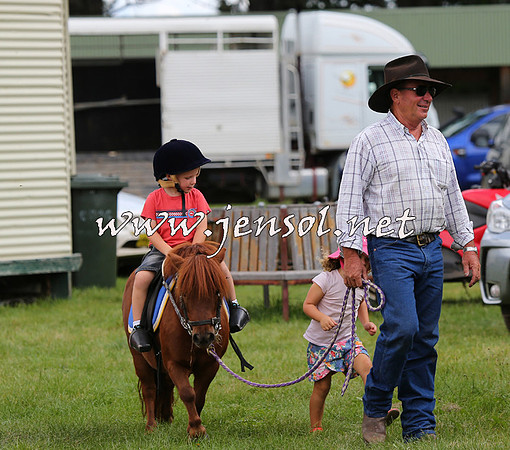 NimmitabelCampdraft2015_0398
