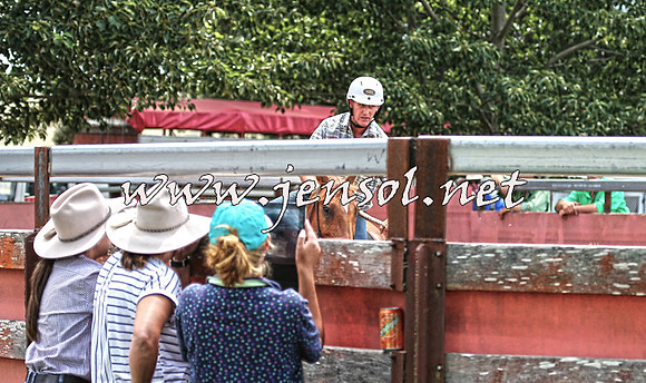 NimmitabelCampdraft2015_0046