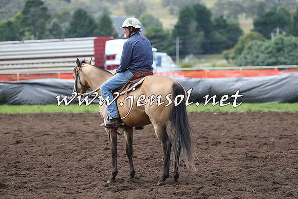 NimmitabelCampdraft2015_1314