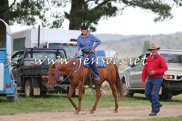 NimmitabelCampdraft2015_1881