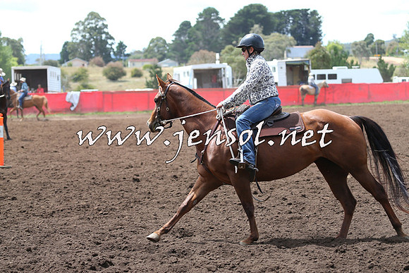 NimmitabelCampdraft2015_1492