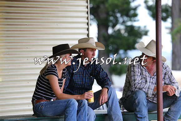 NimmitabelCampdraft2015_1658