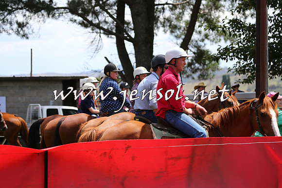 NimmitabelCampdraft2015_0049