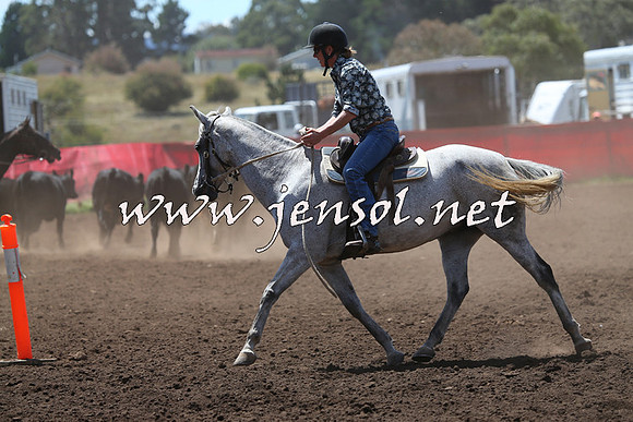 NimmitabelCampdraft2015_2280