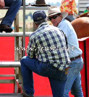NimmitabelCampdraft2015_0325