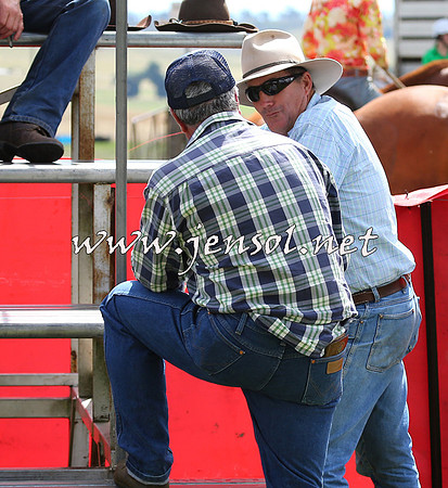 NimmitabelCampdraft2015_0325