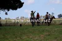 NimmitabelCampdraft2015_0006