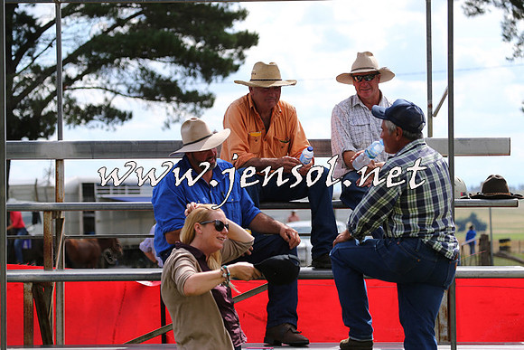 NimmitabelCampdraft2015_0323