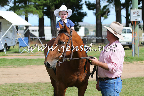 NimmitabelCampdraft2015_1127