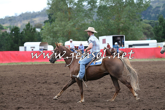 NimmitabelCampdraft2015_1725