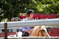 NimmitabelCampdraft2015_0131