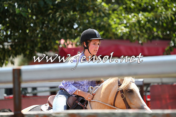 NimmitabelCampdraft2015_0131