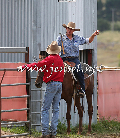 NimmitabelCampdraft2015_1512