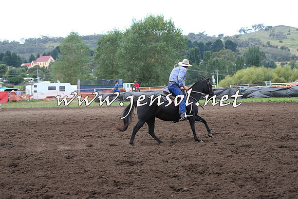 NimmitabelCampdraft2015_1729